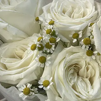 Дуо-букет роз Playa Blanca и матрикарии S