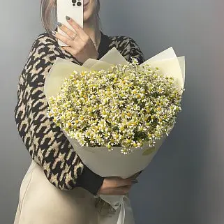 Букет ромашек L