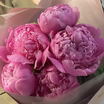 Букет из 5 ярко-розовых пионов