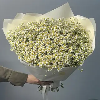 Букет ромашек XL