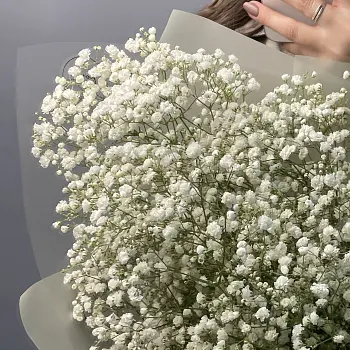 Букет из 25 веточек гипсофилы