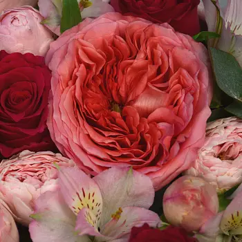 Букет в шляпной коробке Ягодное парфе