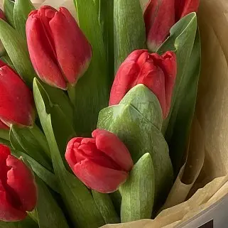 Букет из 9 красных тюльпанов