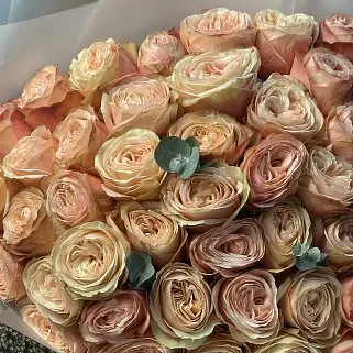 Букет пионовидных роз Kahala и эвкалипта XL