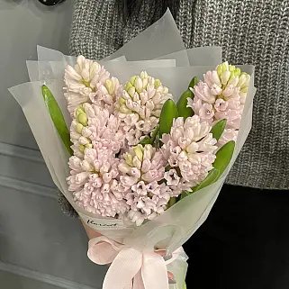 Букет из 7 розовых гиацинтов