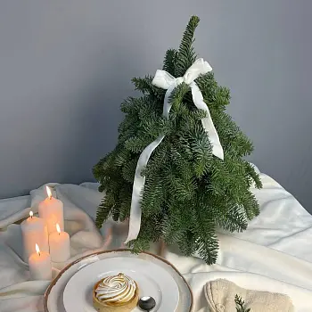 Натуральная ёлочка