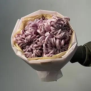 Букет из 5 хризантем Vienna Pink