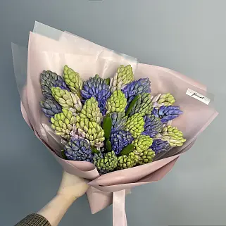 Букет из 25 гиацинтов (микс)