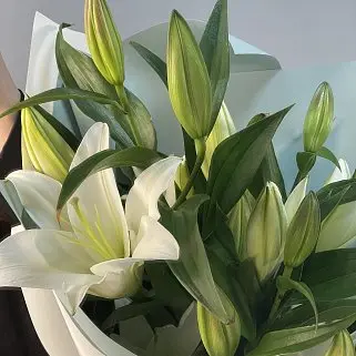 Букет из 3 белых лилий