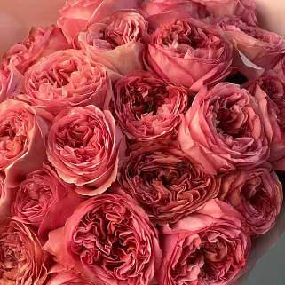 Букет пионовидных роз Pink Expression L