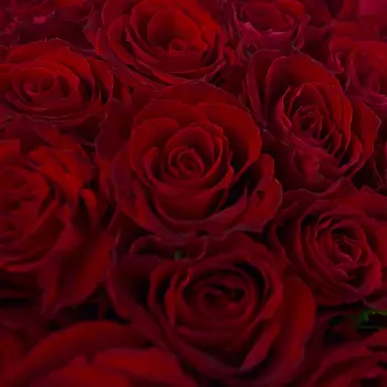 Букет в шляпной коробке из 35 красных роз (Кения)