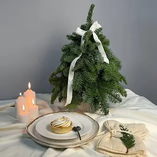 Натуральная ёлочка