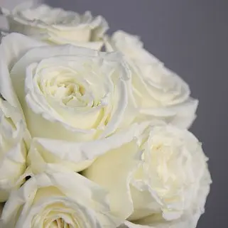 Свадебный букет невесты из 9 роз Playa Blanca