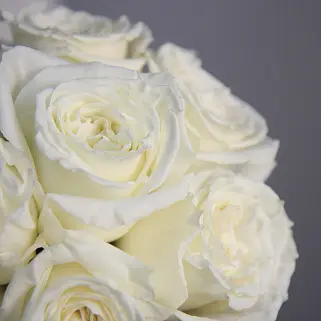 Свадебный букет невесты из 9 роз Playa Blanca