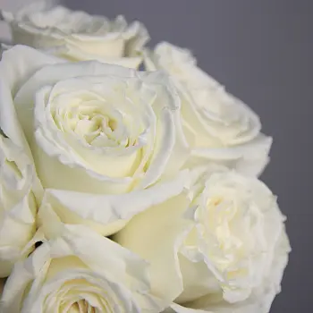 Свадебный букет невесты из 9 роз Playa Blanca