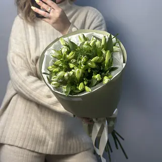 Букет из 9 белых альстромерий