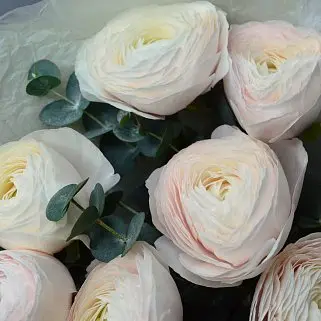 Букет из 7 ранункулюсов XL