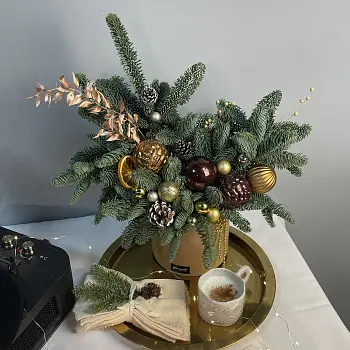 Зимняя композиция Брауни L