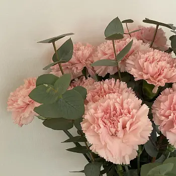 Интерьерный букет из 15 розовых гвоздик и эвкалипта