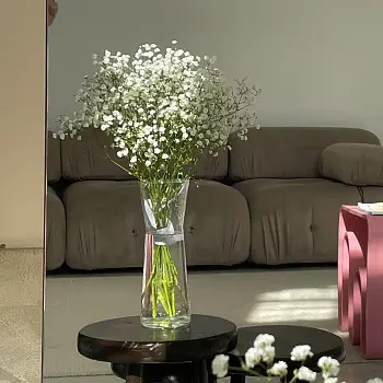 Интерьерный букет из 5 веточек гипсофилы