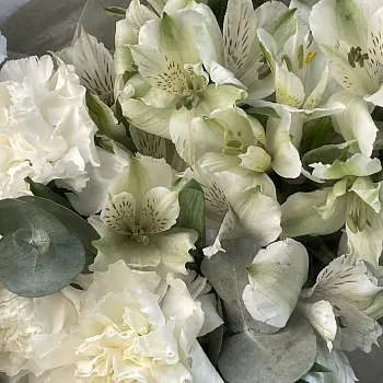 Белый дуо-букет альстромерий и гвоздик S