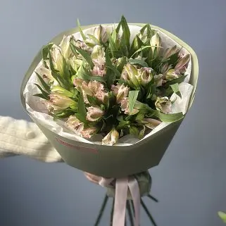 Букет из 9 розовых альстромерий