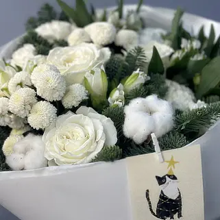 Котобукет M (подробности акции внутри)