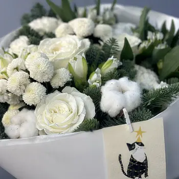 Котобукет M (подробности акции внутри)