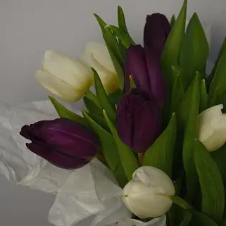 Букет из 15 тюльпанов (микс) в шляпной коробке