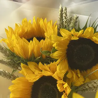 Букет из 3 подсолнухов и колосков
