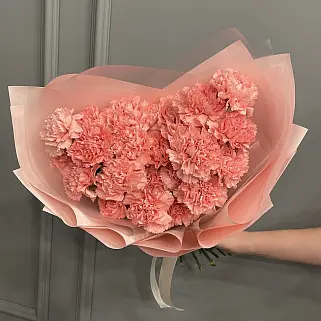 Букет из 25 розовых гвоздик