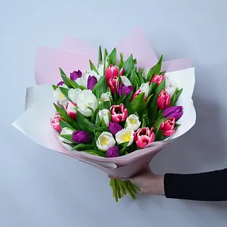 Букет из 51 пионовидного тюльпана микс