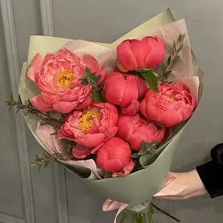 Букет из 7 пионов Coral Sunset и эвкалипта