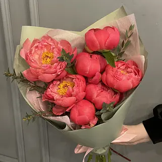 Букет из 7 пионов Coral Sunset и эвкалипта