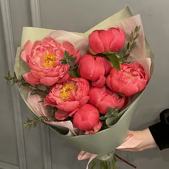 Букет из 7 пионов Coral Sunset и эвкалипта