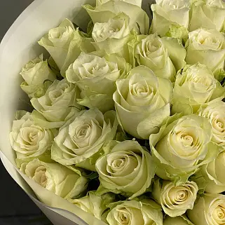 Букет из 51 белой розы 50см (Кения)