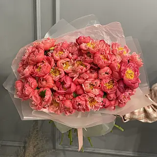 Букет из 51 пиона Coral Sunset