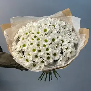 Букет из 15 белых кустовых хризантем Bacardi