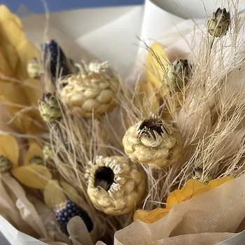 Букет сухоцветов Savannah