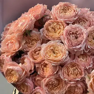 Букет из 11 кустовых пионовидных роз Juliet