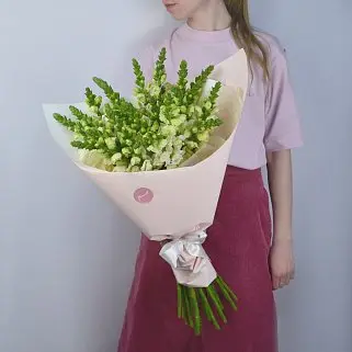 Букет из 21 антирринума