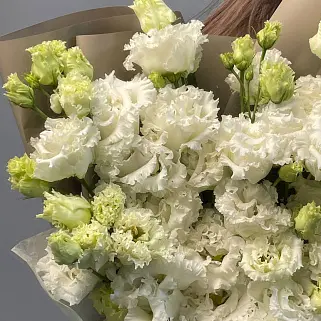 Букет из 11 белых эустом