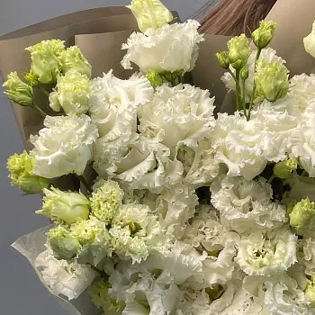 Букет из 11 белых эустом