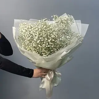 Букет из 5 веточек гипсофилы