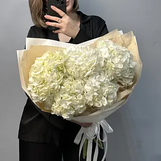 Букет из 5 белых гортензий