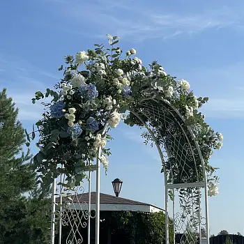 Арка из живых цветов #2