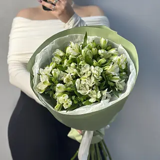 Букет из 15 белых альстромерий