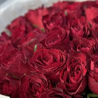 Букет из 35 красных роз 50см (Кения)