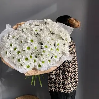 Букет из 19 белых кустовых хризантем Bacardi