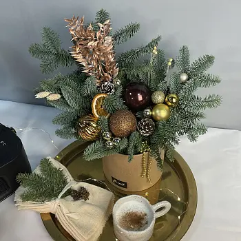 Зимняя композиция Брауни М